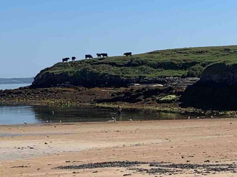 Bumblebee Cottage Donegal Town Dış mekan fotoğraf